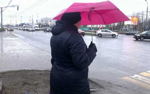 Сдует полярным ветром: когда закончится шторм, рассказали синоптики