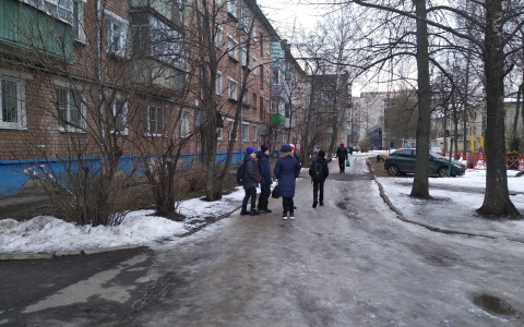 Из-за коронавируса школы Ярославля переходят на свободное обучение