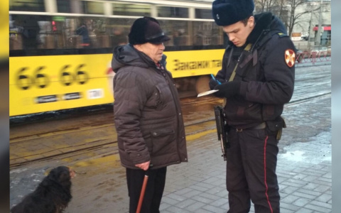 Бросился на поиски собаки и исчез: в Ярославле спасли мужчину