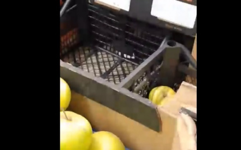 Потянулась за яблоком и ужаснулась: что происходит в магазинах Ярославля