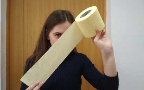 "Почему туалетная бумага?!": эксперты объяснили ажиотаж в магазинах Ярославля