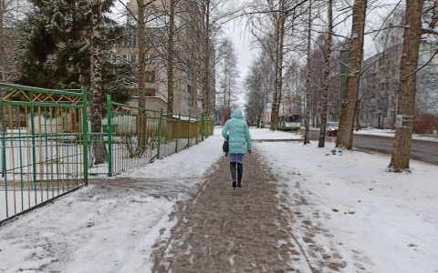 Завалит снегом: экстренное предупреждение синоптиков для ярославцев