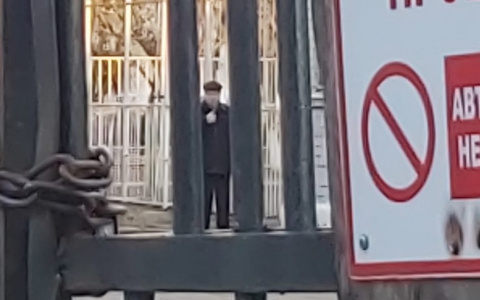 "Встану на колени": педофил домогается девочек у школы в Ярославле