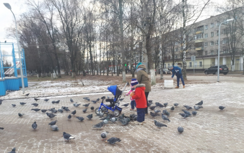 "Город выкинул деньги": блогер Варламов о парке Ярославля, отремонтированном за 23 миллиона