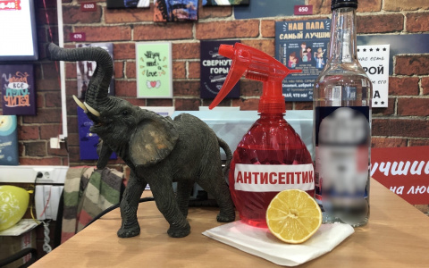 Антикризисные меры: секреты работы в период коронавируса рассказала ярославская компания