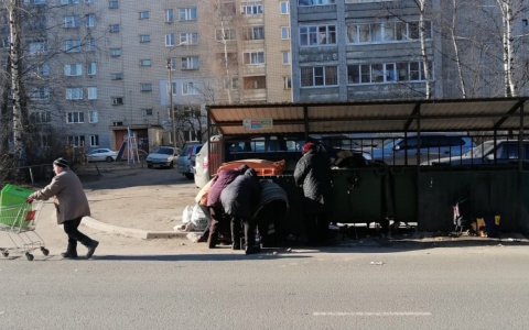 "Битва за просрочку": народ толпами штурмует мусорки в Ярославле