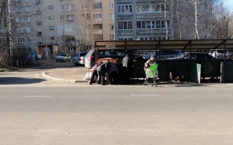 Впятером на один бак: толпы ярославцев штурмуют мусорки с просрочкой
