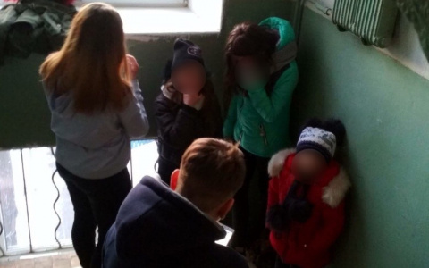 Коронавирус с доставкой на дом: жители показали изнанку карантина в Ярославле