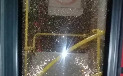 "Малолетки на каникулах": в Ярославле обстреляли маршрутку с пассажирами