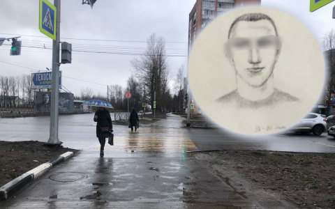 "Грудь сжали руки в наколках с ножом": маньяк напал на ярославну в Брагино