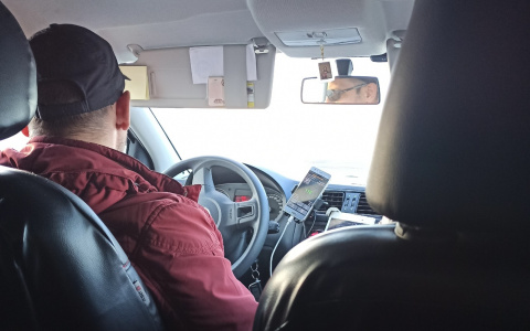 Штрафы до миллиона: весенний сезон охоты отменен в Ярославской области