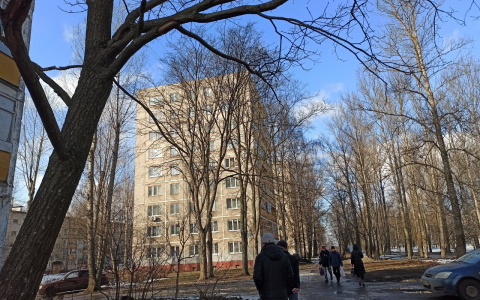 "Отсрочим выплату налогов": губернатор сделал громкое заявления для ярославцев