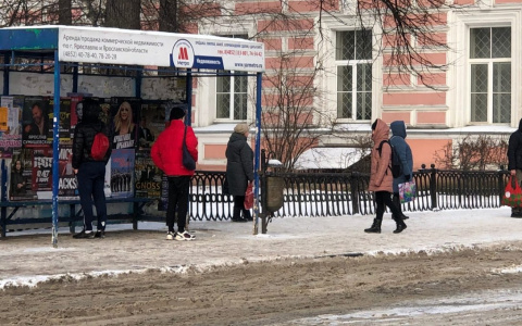 Автобусы Ярославля будут работать по-новому из-за пандемии: расписание