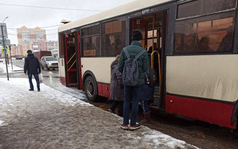 Сменили график и сократили  рейсы межгородских автобусов: горячая линия для ярославцев