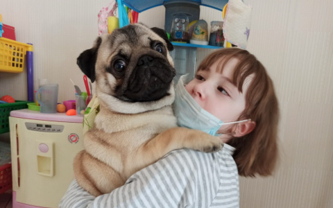 #Оставайтесь дома: полезные телефоны и горячие линии для ярославцев на время карантина