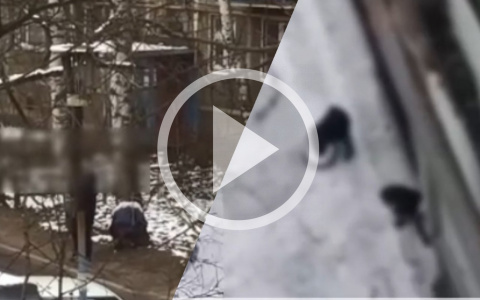 Этим и коронавирус не страшен: дворы ярославцев атаковали закладчики. Видео.