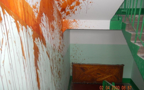 Они вернулись мстить: вандалы-строители изуродовали подъезд ярославцев