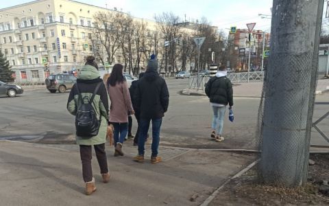 Только по явкам: как оформить пособие по безработице на самоизоляции в Ярославле