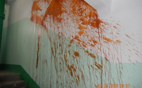 Живем как в свинарнике: брагинский подъезд измазали необычным веществом. Ответ УК