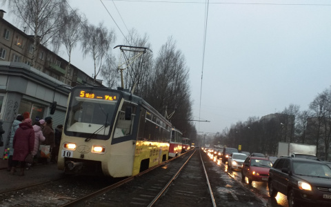 Автобусы уберут, а трамваи пустят только в час-пик: в Ярославле меняют схему движения транспорта
