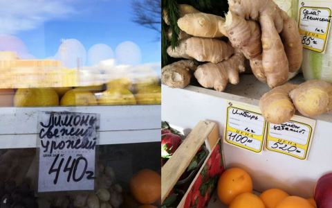 "Цены на имбирь за гранью": житель Ярославля обратился к мэру в соцсетях