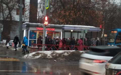 Утренняя давка в маршрутках: ярославцам вернут общественный транспорт