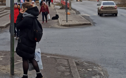 Все на удаленке: операторы о том, как самоизоляция отразилась на ярославцах