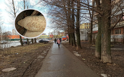 В Ярославле из-за мины эвакуировали жилой дом: где ее нашли