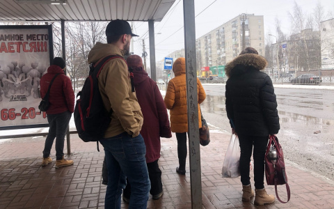 Успейте до 10 апреля: как оформить ярославцам пособие по безработице в изоляции