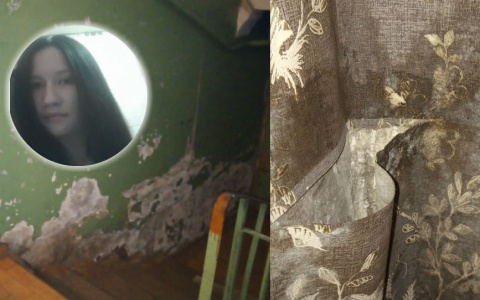 "Плесенью надышались дети": ярославская мама о кошмаре в многоэтажке