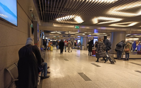 Без денег и билета: брошенную посольством США американку спасли ярославцы