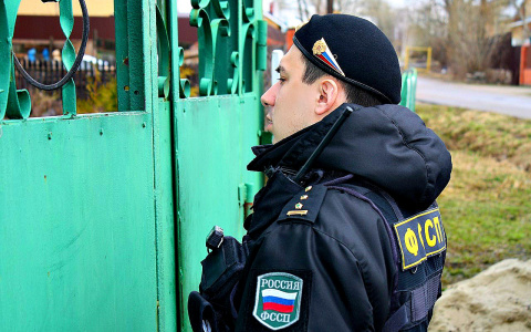 Била родная мать: из ярославской семьи забрали восьмилетнего мальчика