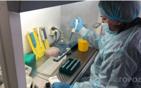 Клещи начали "атаку" на ярославцев: результаты исследований