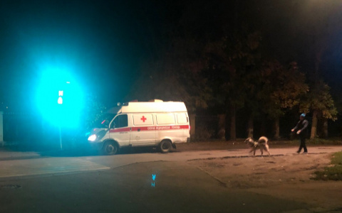 "Сам оделся и вышел": трехлетний ребенок утонул в пруду под Ярославлем