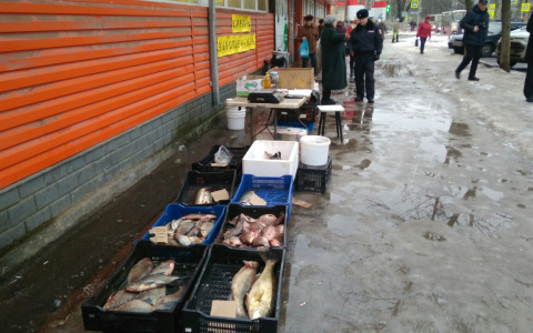 Рыбаков будут штрафовать: новые ограничения для ярославцев