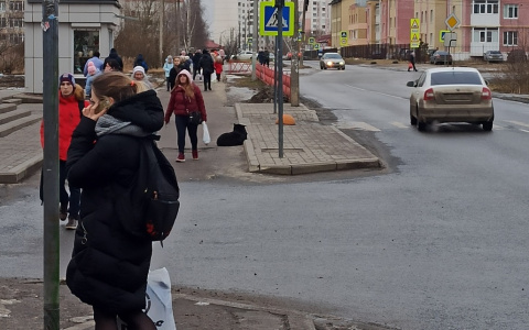 Когда отменят  режим самоизоляции в России: ВОЗ озвучила условия