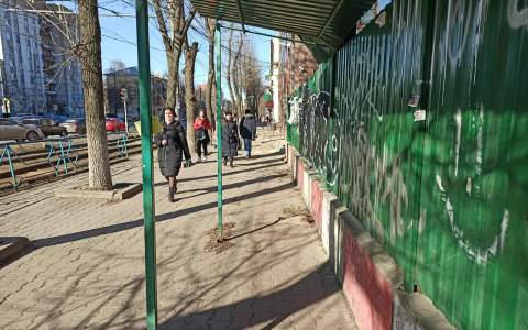 Опасайтесь лета: открыли новый вид переносчика коронавируса