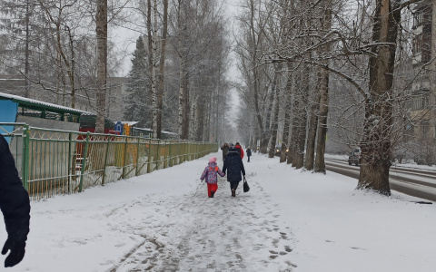 Доставайте зимние куртки: синоптики предупредили ярославцев о резком похолодании на выходных