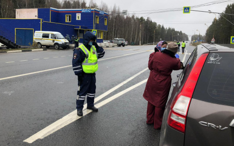 Росгвардия и медики на постах ДПС: в Ярославской области усилили контроль