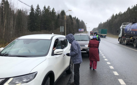 Перекрыть дороги и вход в магазины: ярославцы просят закрыть регион