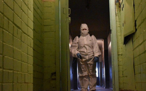 Прощай, пандемия: назвали предварительные сроки возврата россиян к нормальной жизни