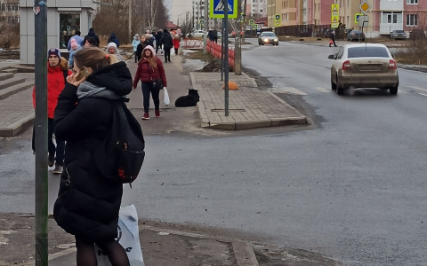 "Первые признаки увидим": Песков анонсировал решение по дальнейшему режиму в стране