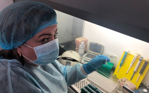 Половина укушенных - дети: клещи атакуют ярославцев на карантине