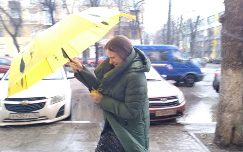 На Ярославль обрушится шторм: экстренное предупреждение от МЧС