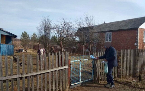 От тысячи до миллиона: какие штрафы ждут дачников в 2020 году в Ярославле