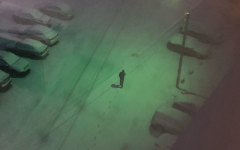 В конце апреля город накрыло снегом: синоптики рассказали, когда тепло вернется в Ярославль