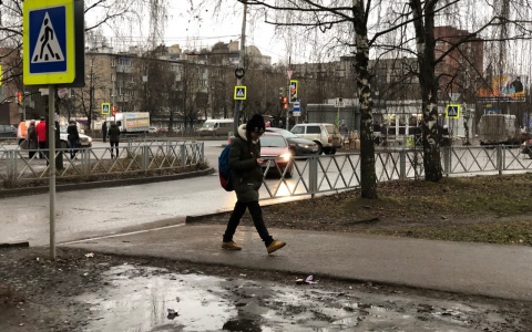 В первый класс по-новому: в Министерстве образования рассказали, когда начнется учебный год