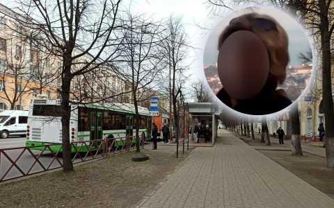 «Стыдно признаться, почему я вызываю такси»: колонка ярославны о проблемах общественного транспорта