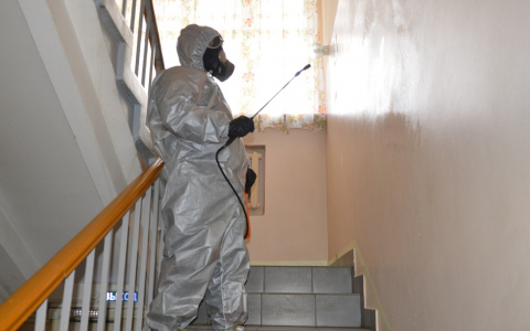 Плюс 42 заболевших: озвучили новые данные по коронавирусу в Ярославской области