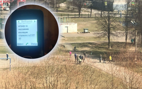 «Жену оштрафовали за нарушение самоизоляции»: ярославцев напугала смс-рассылка во время пандемии